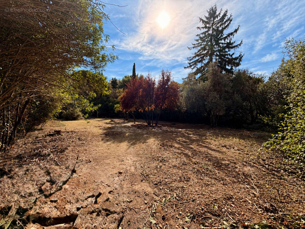 Terrain à MONTPELLIER