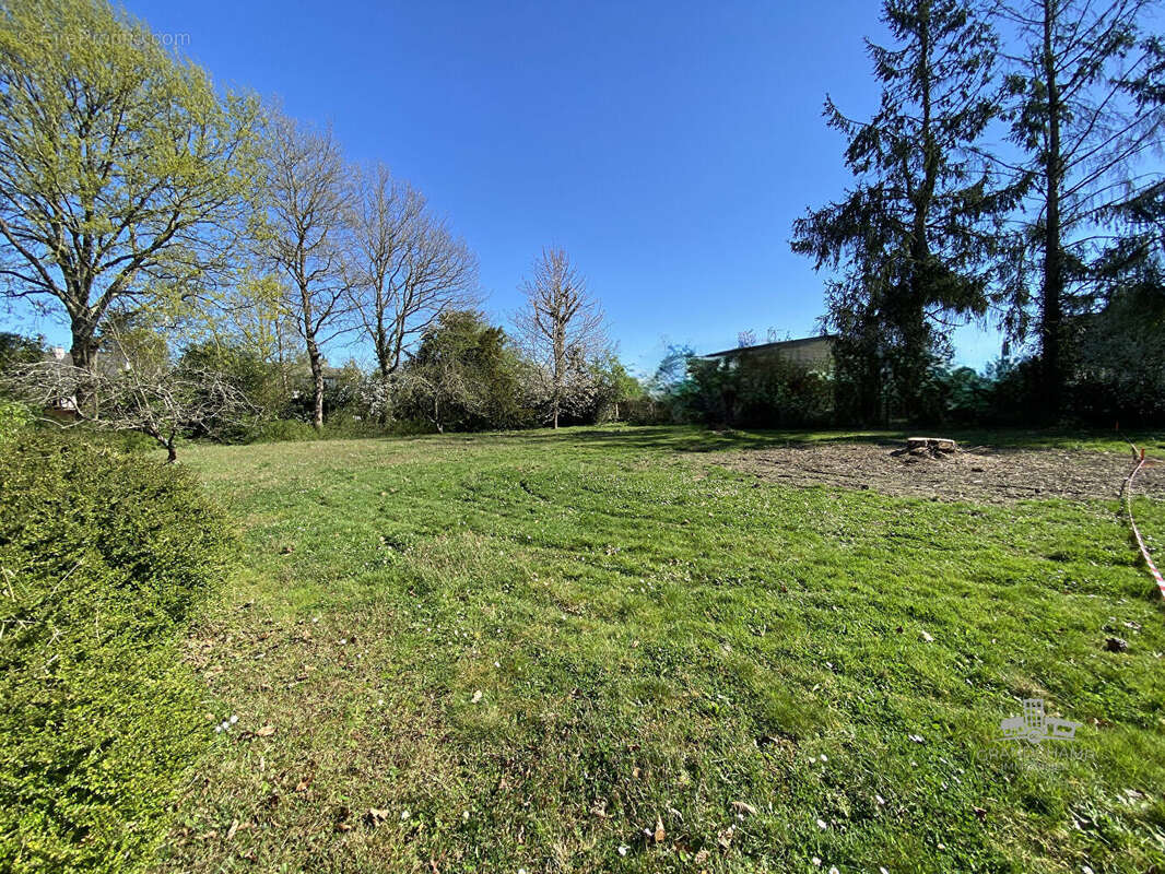 Terrain à GRANDCHAMPS-DES-FONTAINES