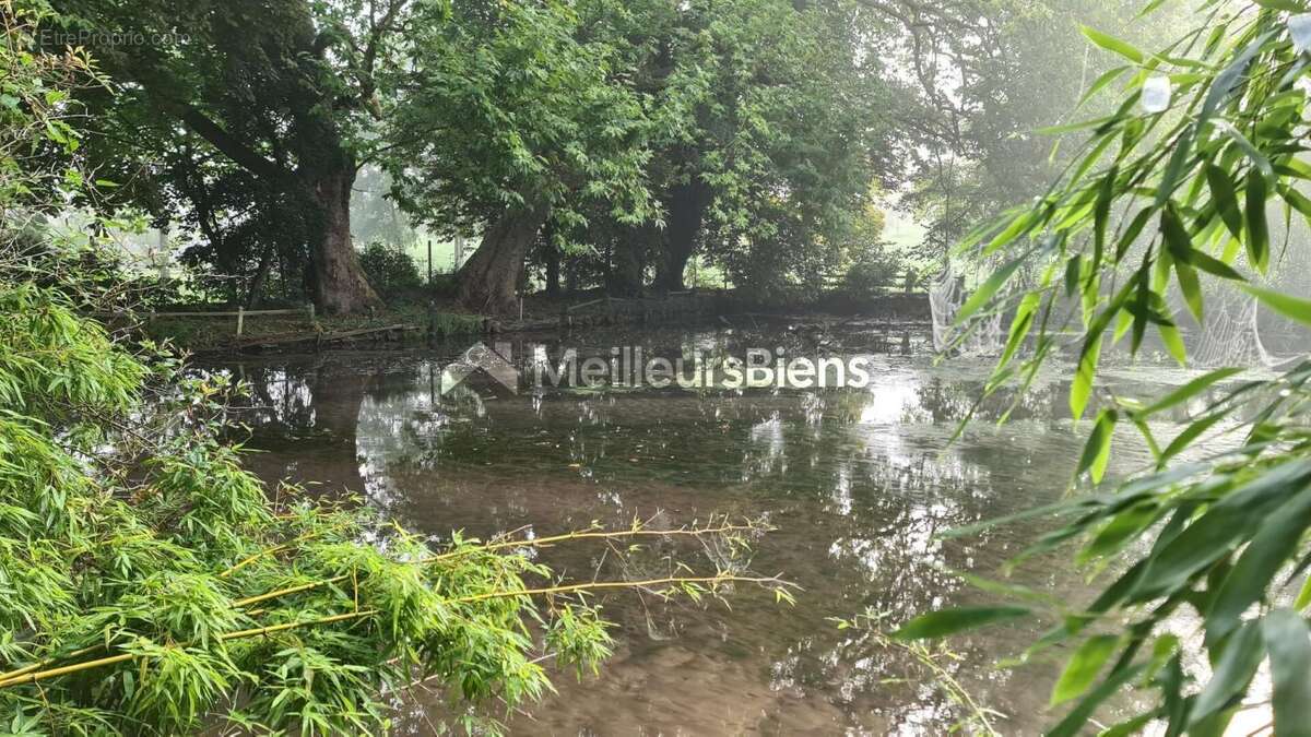 Terrain à MEZIDON-CANON