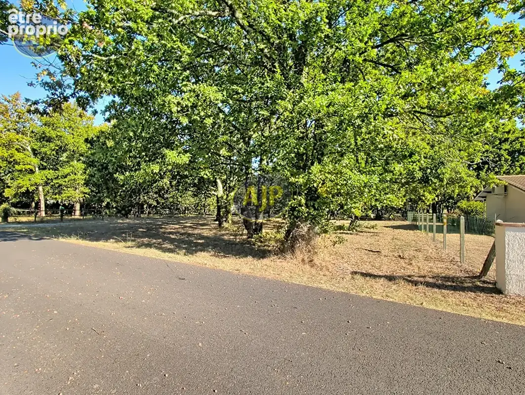 Terrain de 6155 m² dont 1600 m² de constructible - photo 4
