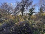 Photo 1 - Terrain à GRABELS