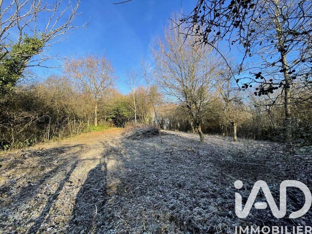 Photo 5 - Terrain à FAMECK