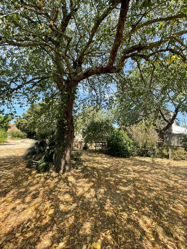 Longère de 120 m2   3 chambres   Terrain clos de 2 300 m2   Vue (44640) - photo 25