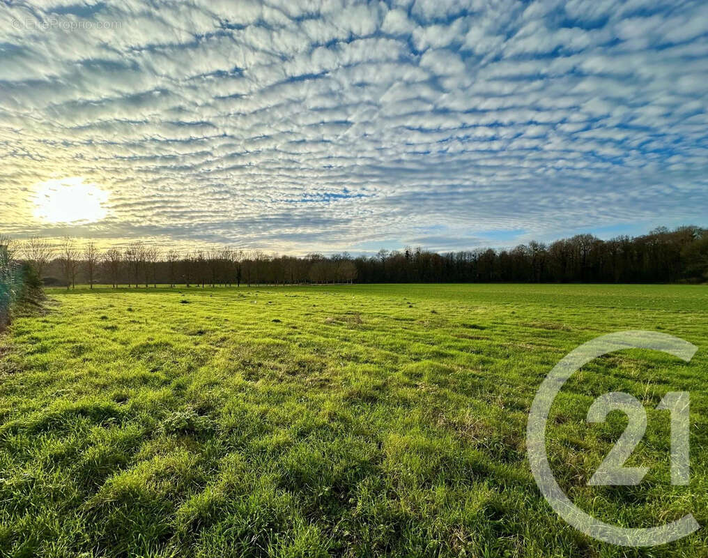 Terrain à LESCHES