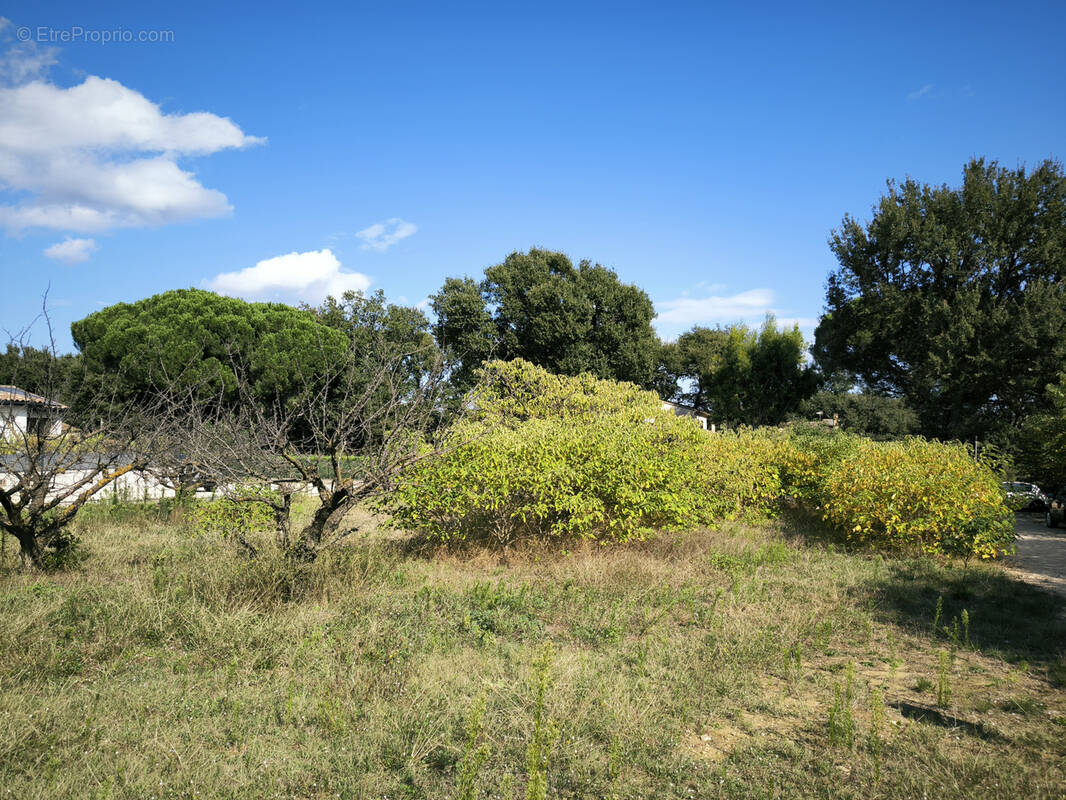 Terrain à UZES