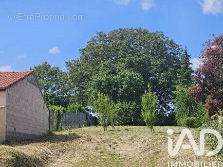 Photo 8 - Terrain à COIN-LES-CUVRY
