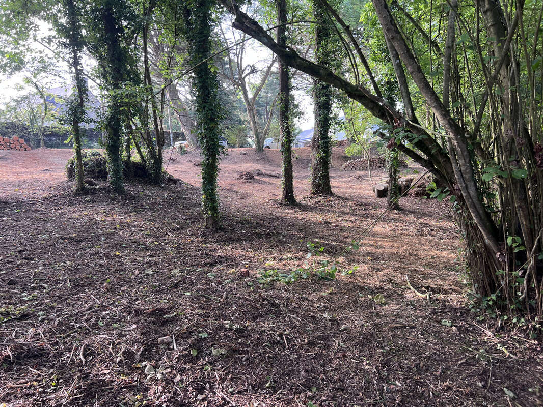 Sables d'or Les Pins 22240, magnifique terrain libre de constructeur - photo 2