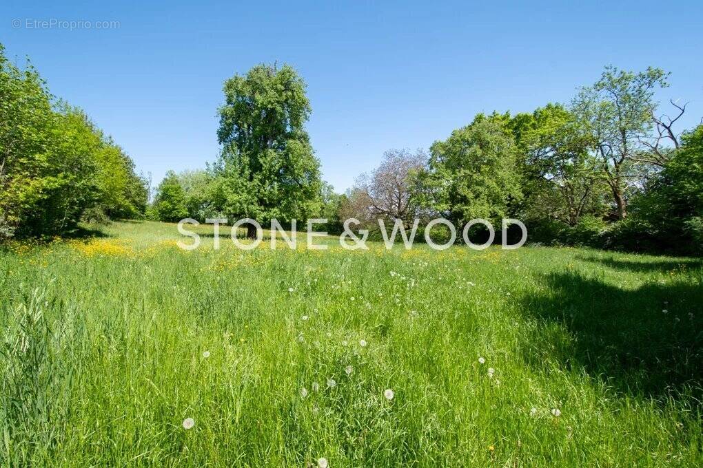 Terrain à ECHENEVEX