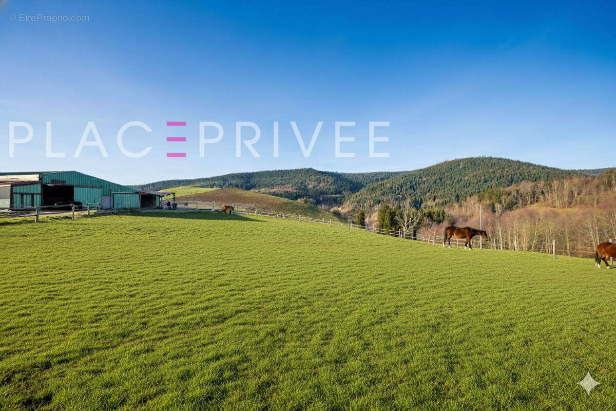 Maison à GEMAINGOUTTE