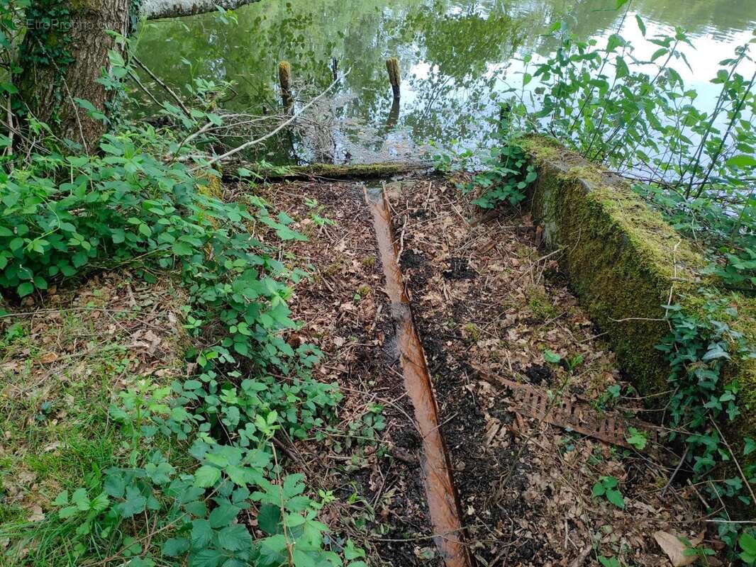 Terrain à ORADOUR-SUR-VAYRES