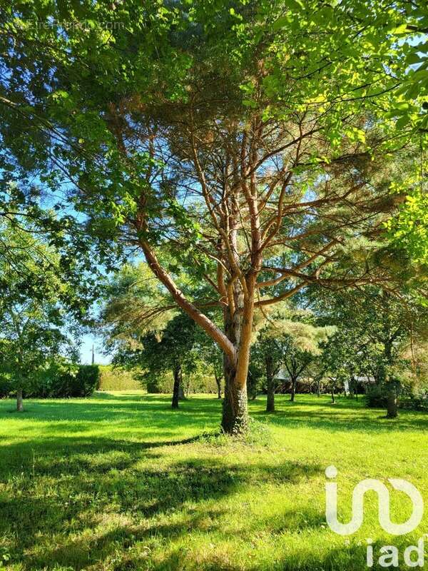 Photo 8 - Maison à ECOMMOY