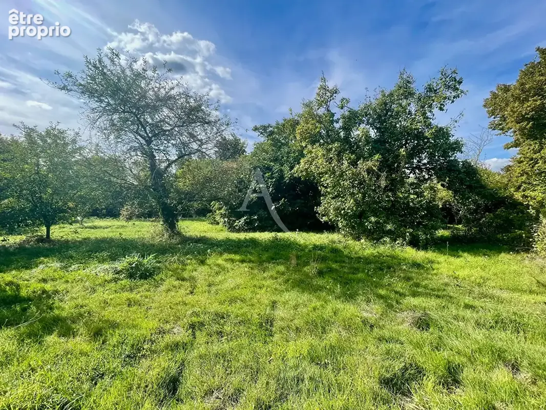 Terrain Brissac Loire Aubance - photo 2
