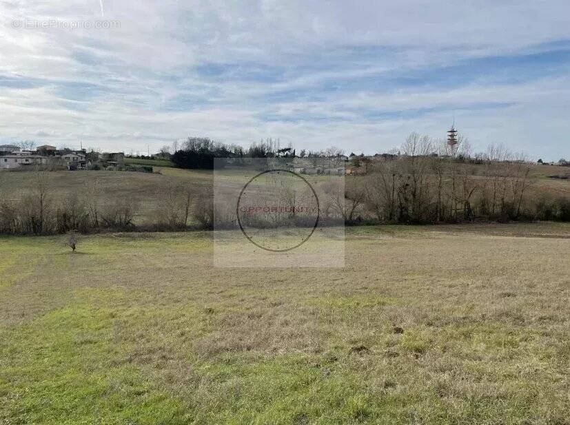 Terrain à MONTAUBAN