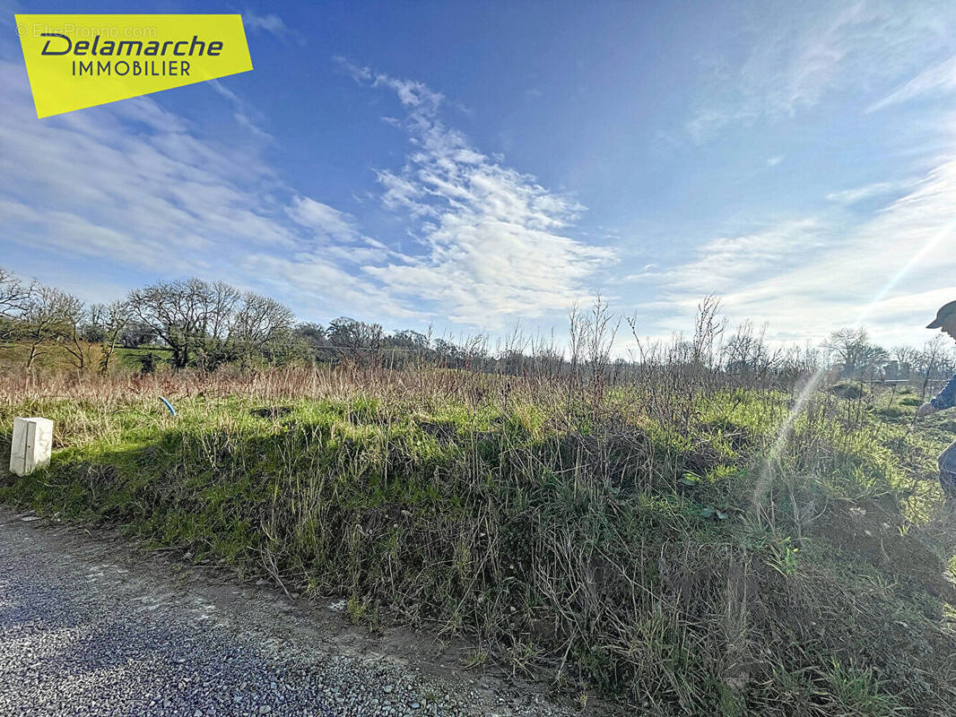 Terrain à COUDEVILLE-SUR-MER
