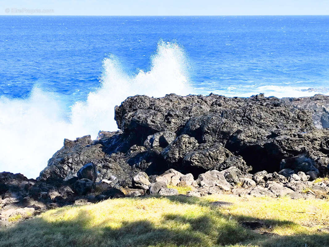 Terrain à SAINT-PIERRE