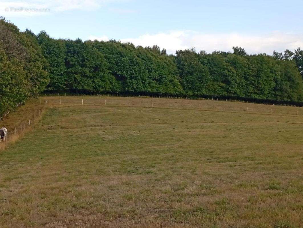 Terrain à LA GENEYTOUSE