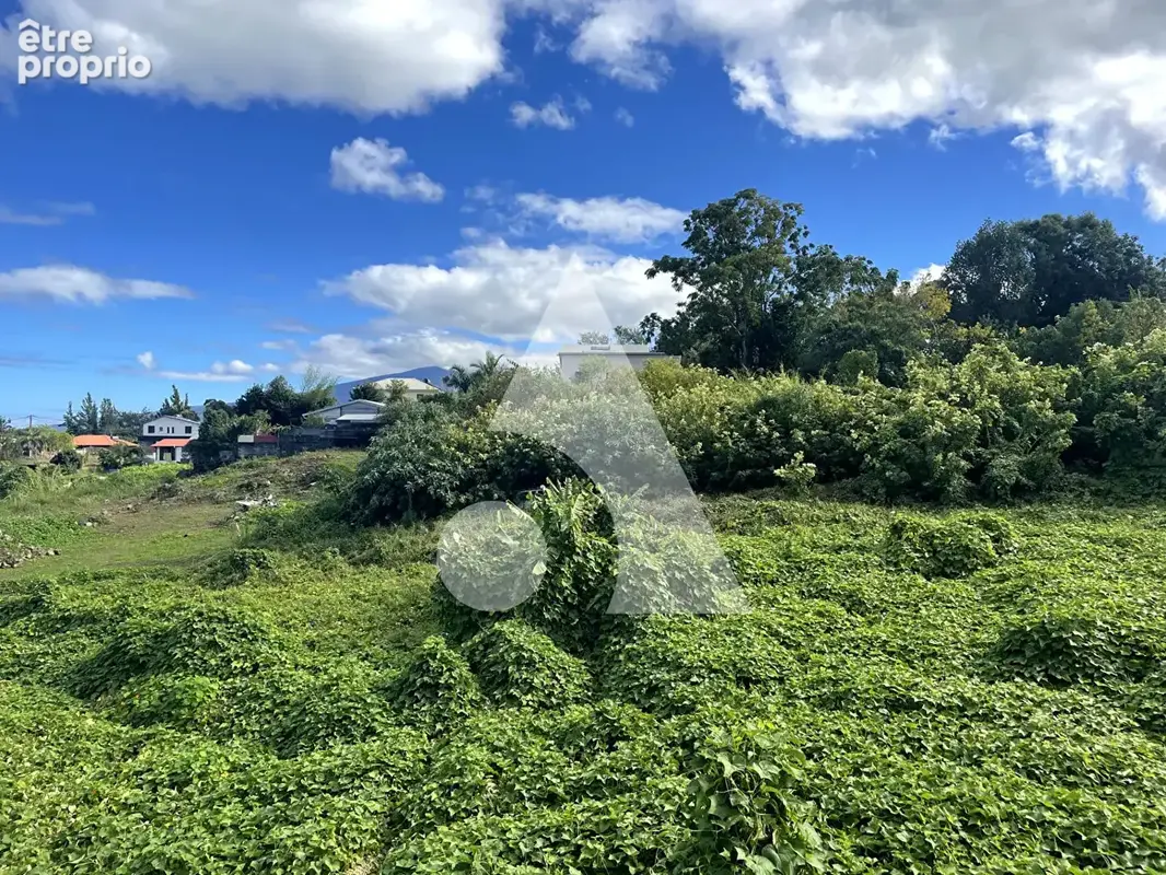 RARE AU TAMPON Terrain à bâtir pour votre futur projet - photo 6