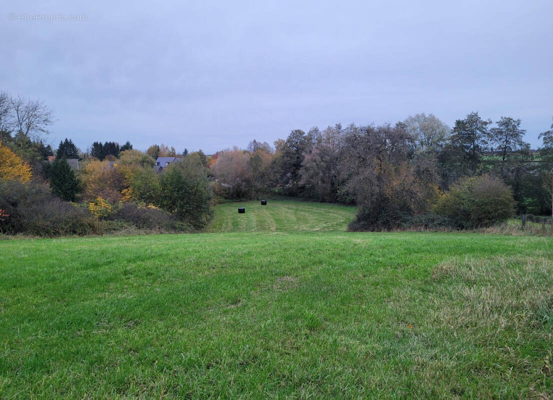 Terrain à AVESNES-SUR-HELPE
