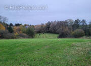 Terrain à AVESNES-SUR-HELPE