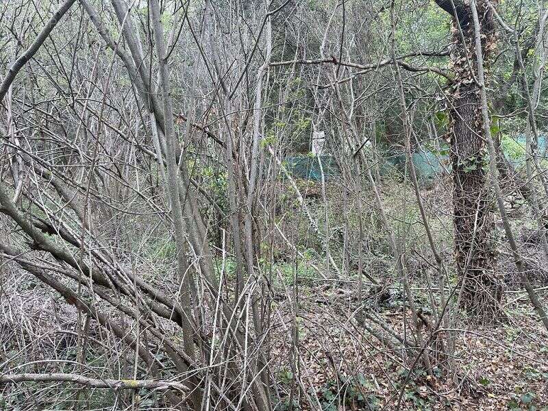 Terrain à MARQUIXANES