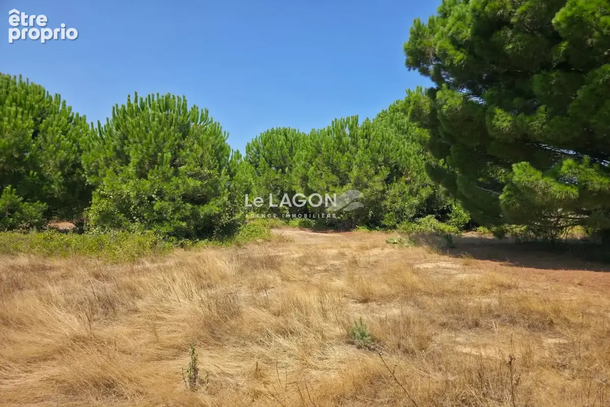 Terrain 505 m² à vendre à Latour-Bas-Elne (66200) - photo 2