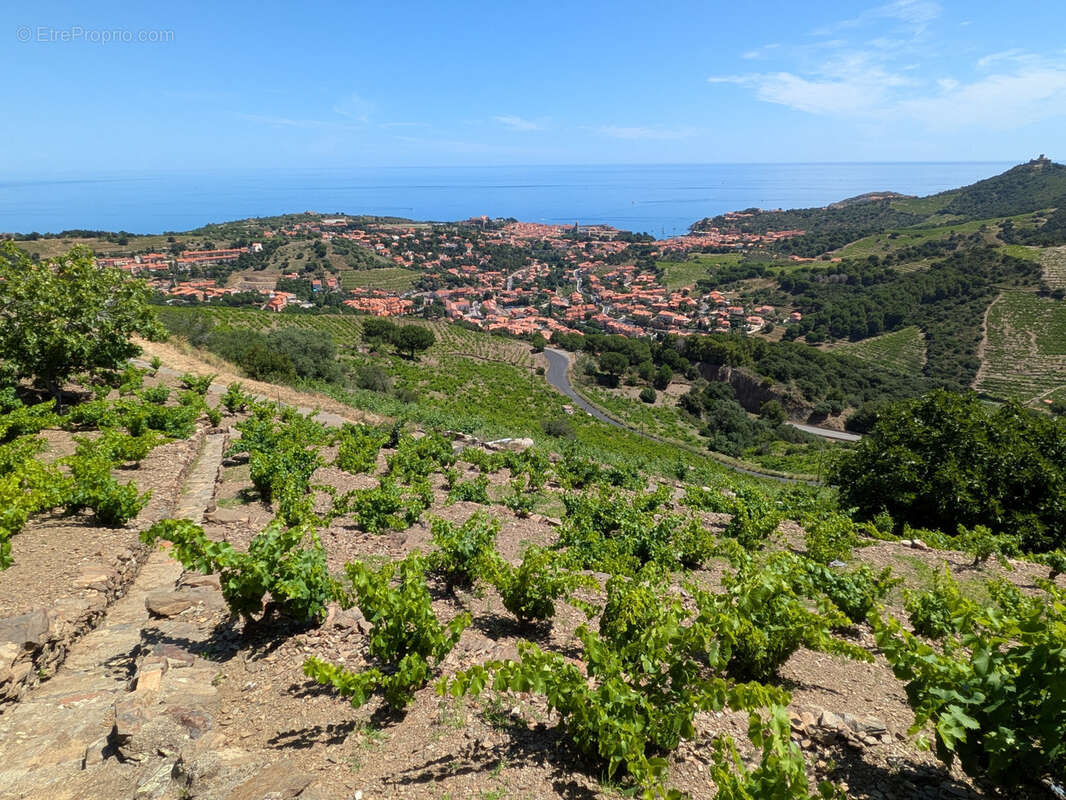 Terrain à COLLIOURE