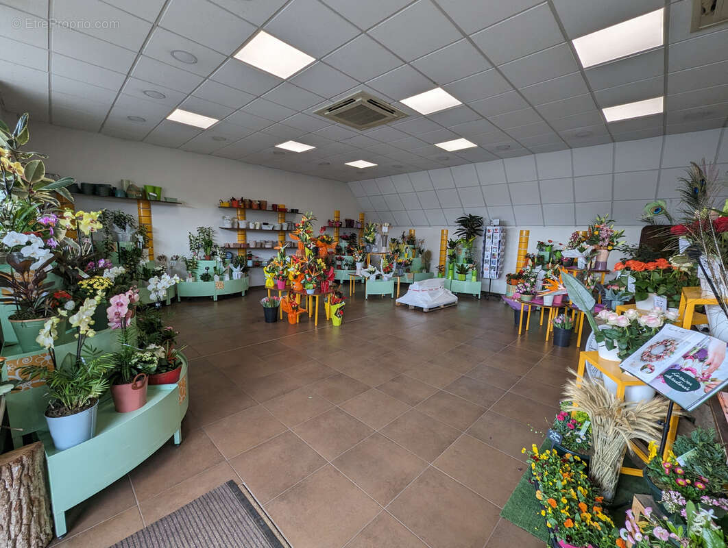 Commerce à AMILLY