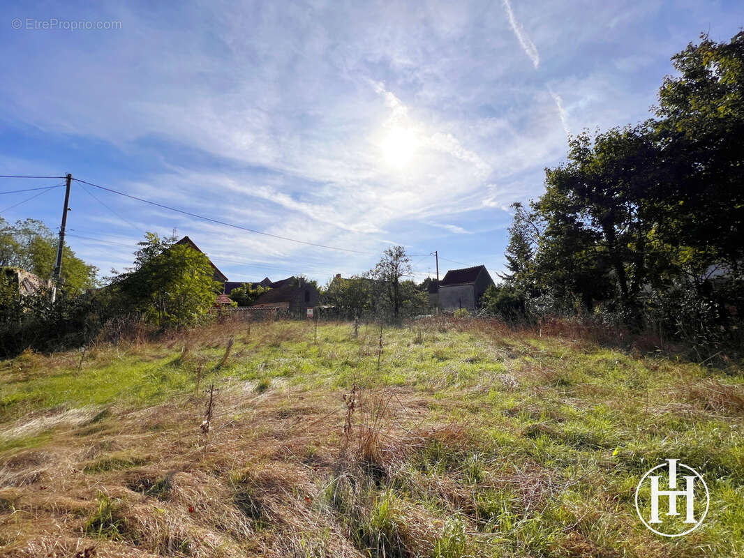 Terrain à AINAY-LE-VIEIL