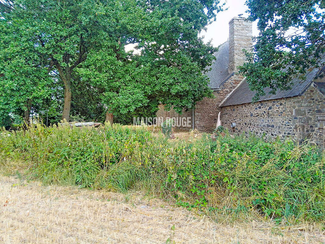 Saint-brandan : authentique corps de ferme à rénover avec fort potentiel - photo 12