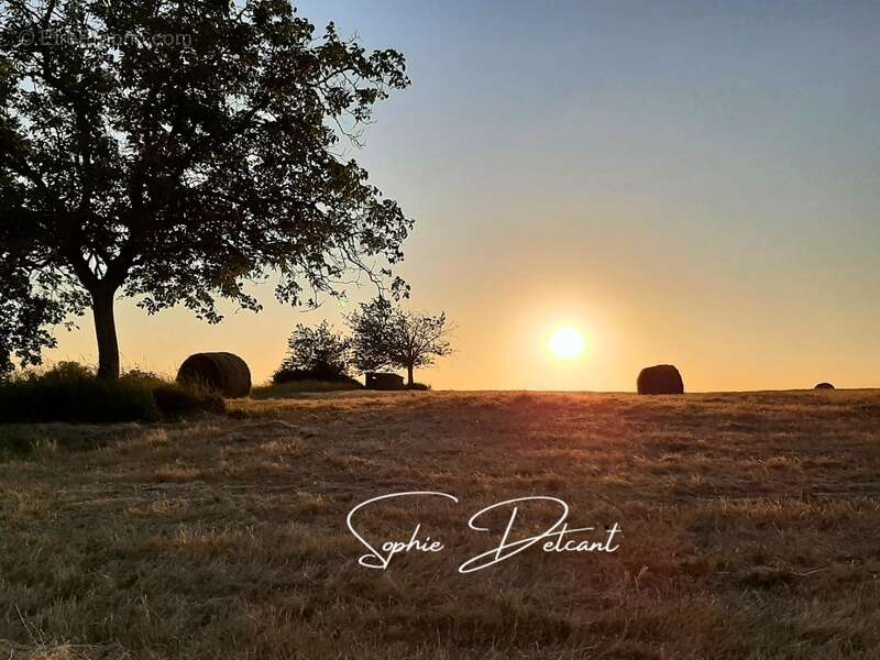 Terrain à CROTELLES