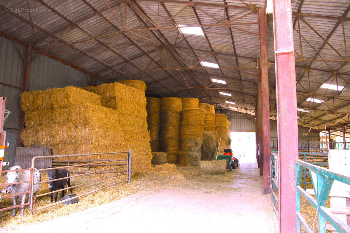Grande propriété de caractère   Un cadre naturel d’exception en région de Chaource (10210) - photo 13