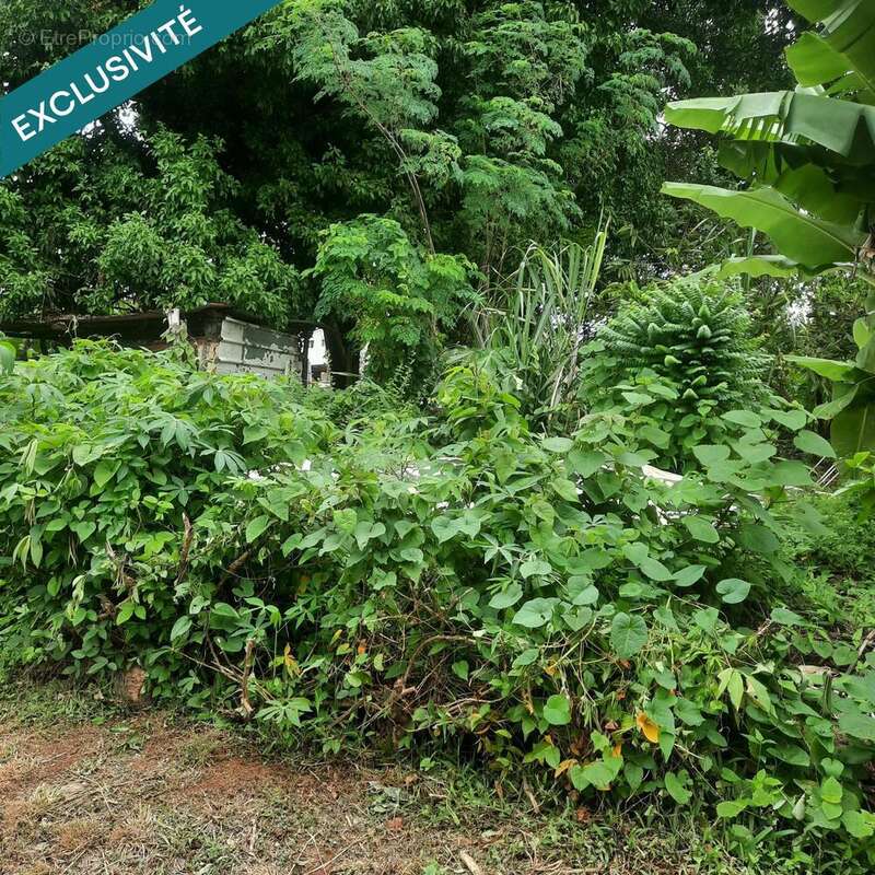 Photo 5 - Terrain à LE ROBERT