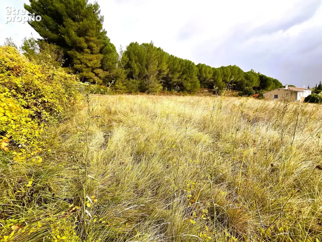 A  vendre terrain viabilise 2990m2  proche limoux - photo 1