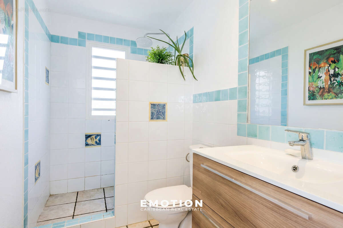 Maison à SAINT-MARTIN