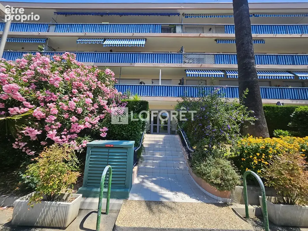 Photo Appartement à Antibes au prix de 295 000€