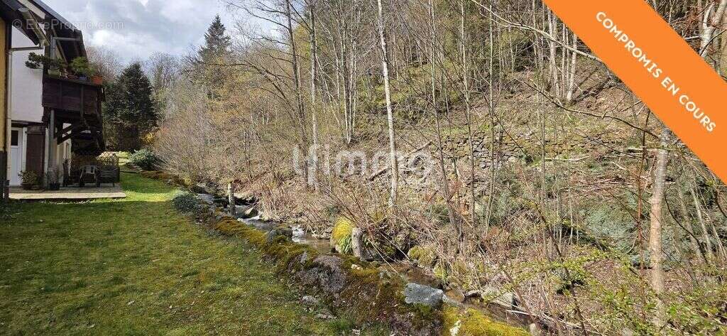 Appartement Hohwald proche Champ du feu – Nature et rentabilité - photo 11
