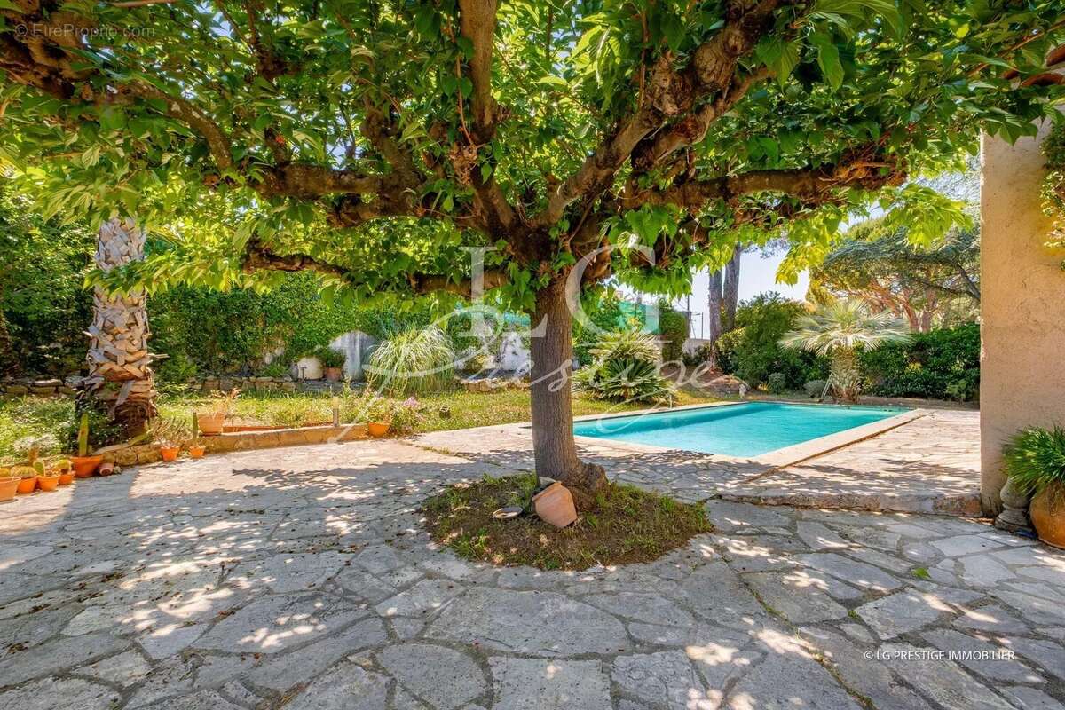 Maison à MANDELIEU-LA-NAPOULE