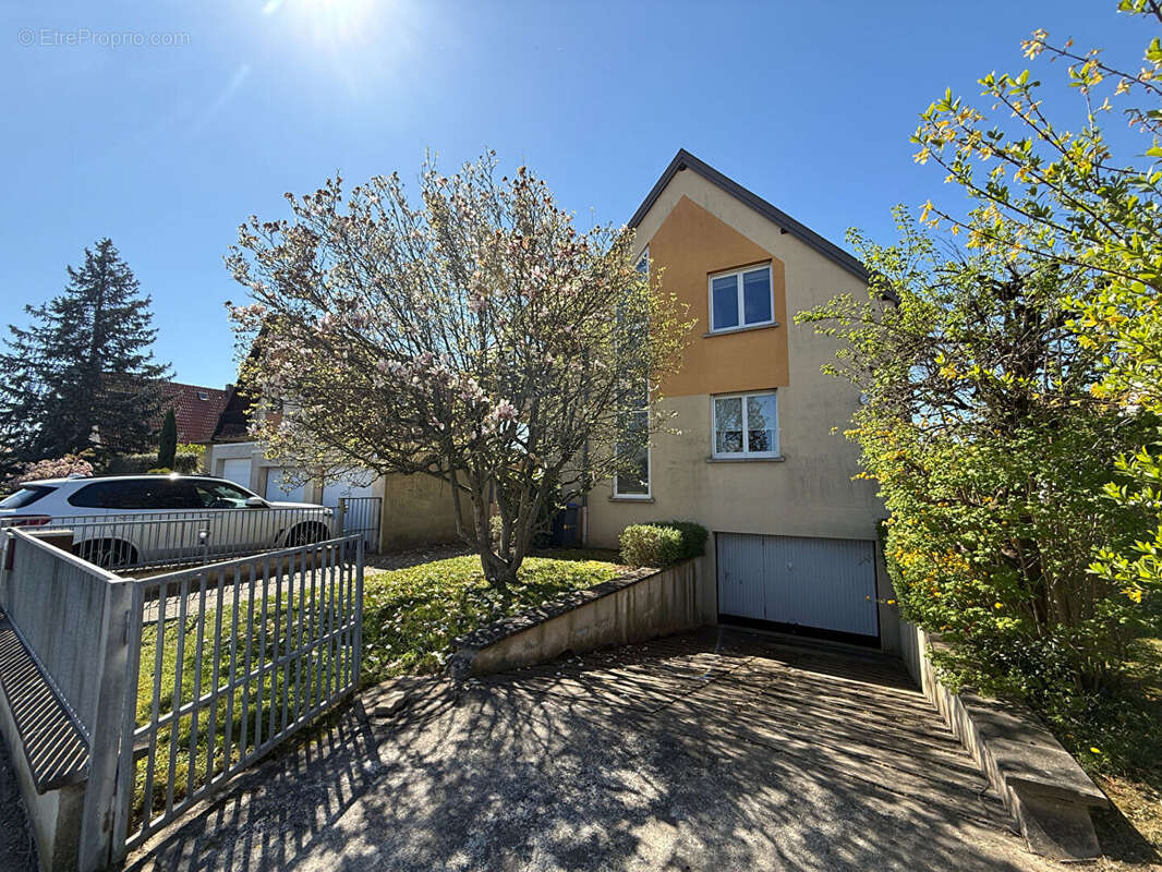 Maison à OBERSCHAEFFOLSHEIM