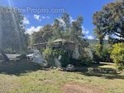 Maison à PORTO-VECCHIO