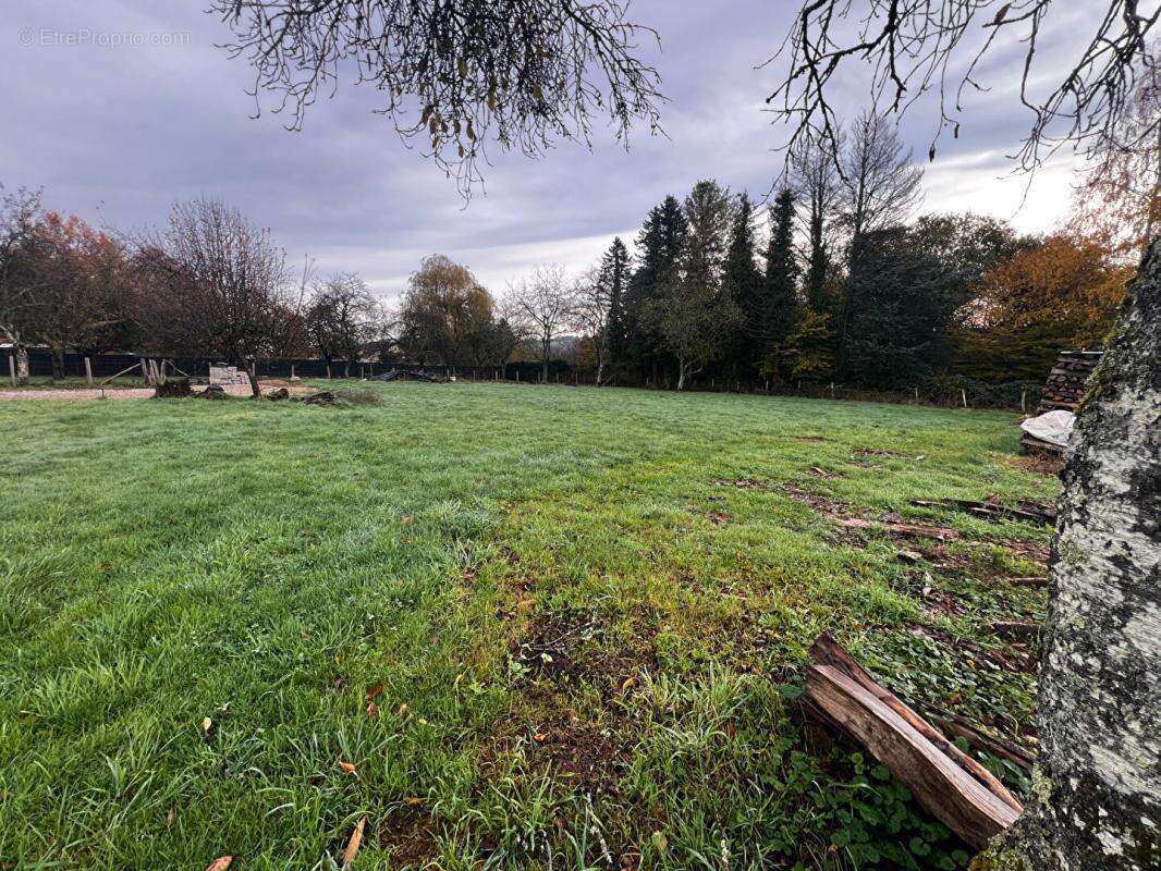 Terrain à BONNEVENT-VELLOREILLE