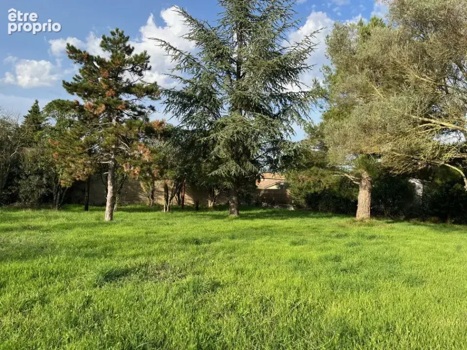 Terrain 256 m² à Bollene  - photo 3