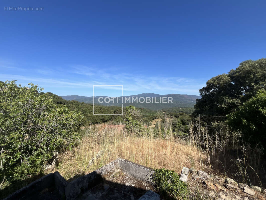Petreto bicchisano - maison 3 pieces - 95.05m2 - photo 11