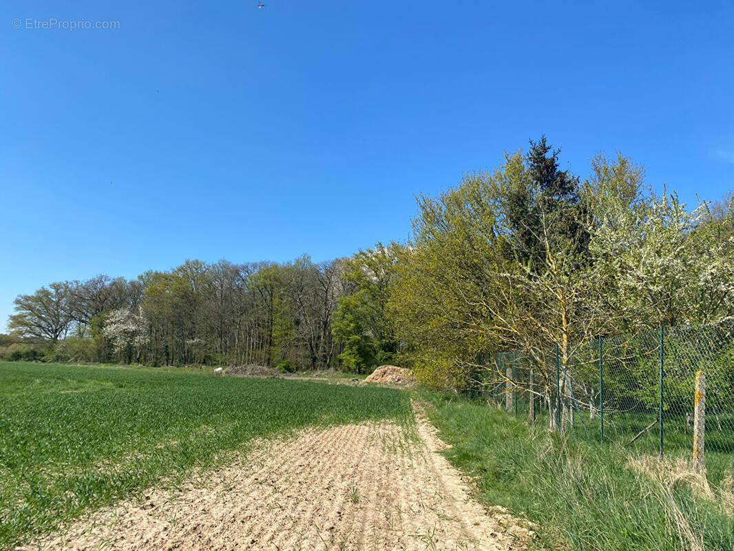 Terrain à TOURNEVILLE