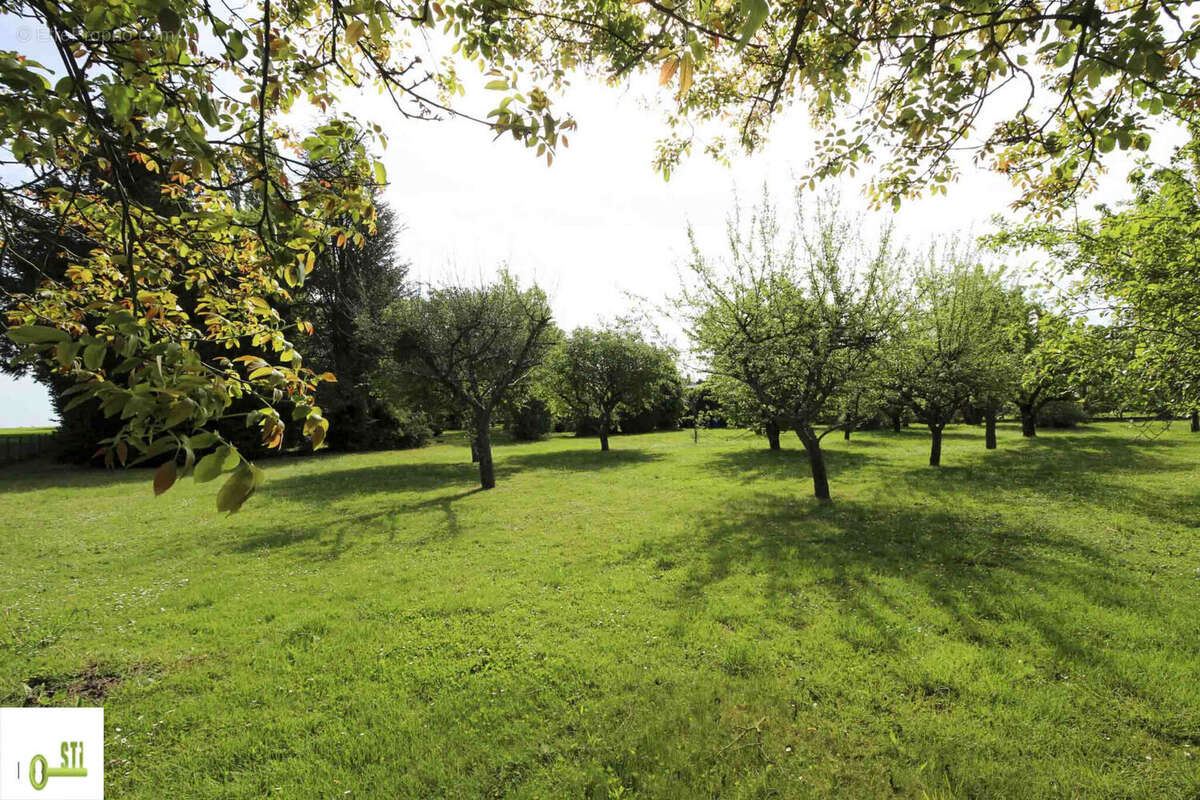 Maison 68 m² à Dammarie-Sur-Loing  - photo 2