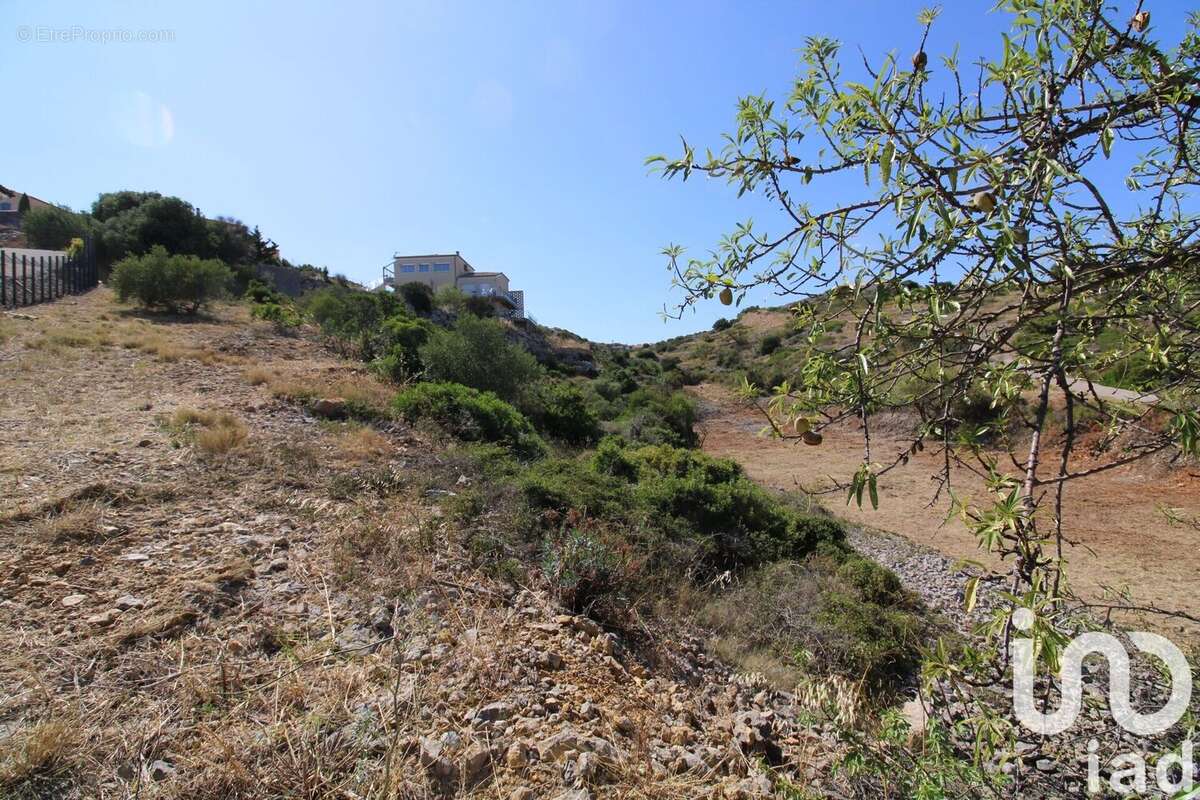 Photo 8 - Terrain à FITOU