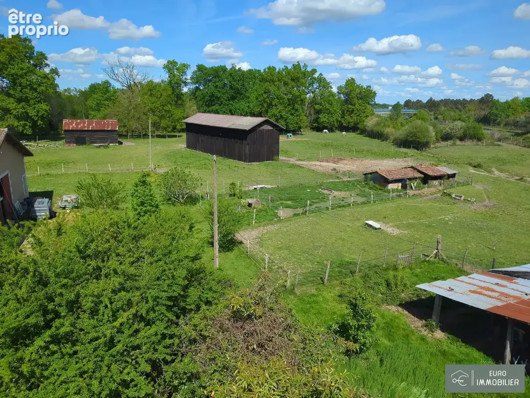 Maison 9 pièces 180 m² à vendre à Bazas (33430) - photo 3