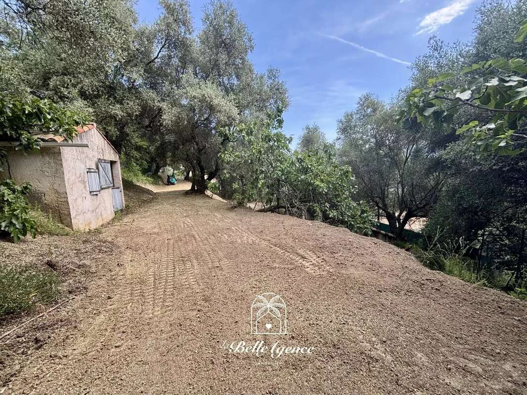 Contes - Las Ayas - Terrain constructible 2385m² - Permis accordé - "Thomas" - photo 5