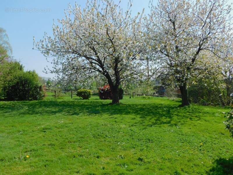 Maison à LA CHAPELLE-JANSON