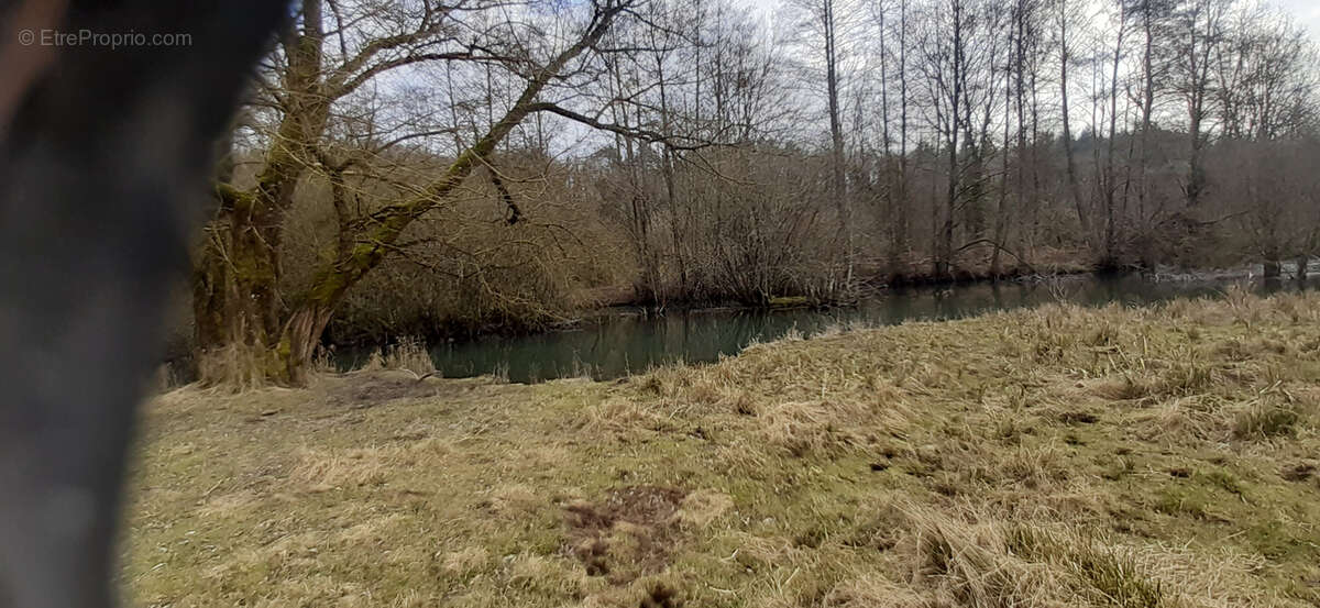 Propriété 50 ha avec chalet, étang, rivière, anciens bâtiments inductriels, prés, bois, terres - photo 8