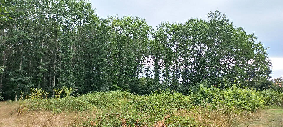 Terrain à MENESPLET